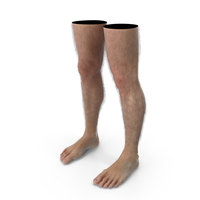 Realistic Human Male Legs PNG & PSD Images