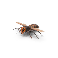 Huge Hornet Fur Base Pose PNG & PSD Images