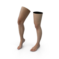 Realistic Female Lower Legs And Feet PNG & PSD Images