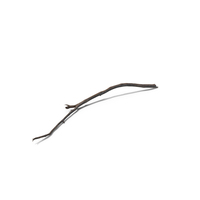 Dry Branch PNG & PSD Images