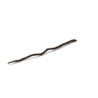 Broken Dry Branch PNG & PSD Images