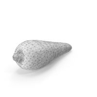 Wireframe Carrot PNG & PSD Images