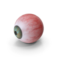 Human Eyeball PNG & PSD Images