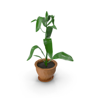 Lowpoly Plant PNG & PSD Images