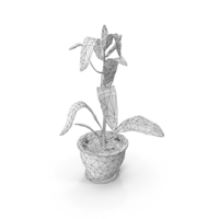 Wireframe Plant PNG & PSD Images