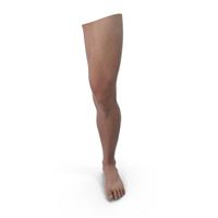 Male Athletic Leg PNG & PSD Images