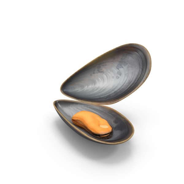 Boiled Sea Mussel PNG & PSD Images