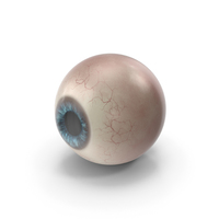 Eyeball PNG & PSD Images