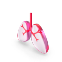 Lungs PNG & PSD Images