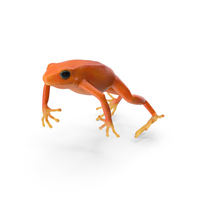 Mantella Frog Jumping PNG & PSD Images