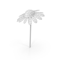 Wireframe Chamomile PNG & PSD Images
