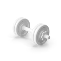 Dumbbell 20kg Clay PNG & PSD Images