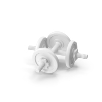 Dumbbell 10kg 2unit Clay PNG & PSD Images