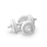 Dumbbell 20kg 2unit Clay PNG & PSD Images