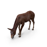Eating Bay Mule PNG & PSD Images