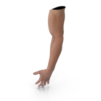 Athletic Male Arm PNG & PSD Images
