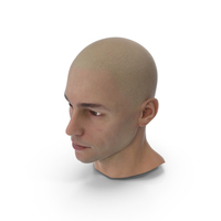 Man Character Head PNG & PSD Images