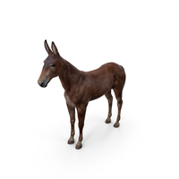 Mule Dark PNG & PSD Images