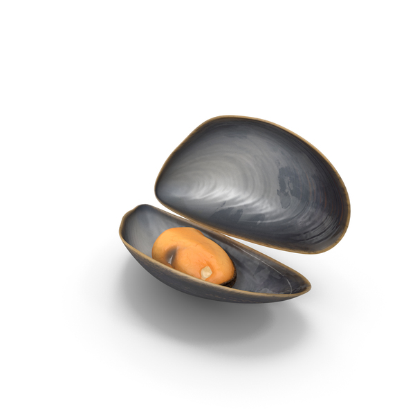 Open Cooked Mussel PNG & PSD Images