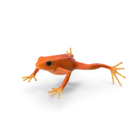 Realistic Golden Frog PNG & PSD Images