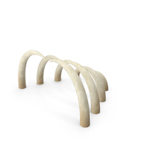 Bones PNG & PSD Images