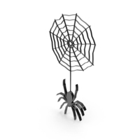Spider Icon PNG & PSD Images