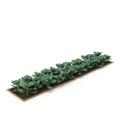 Vegetable Patch PNG & PSD Images