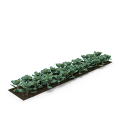 Vegetable Patch PNG & PSD Images