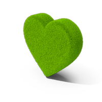 Grass Heart PNG & PSD Images