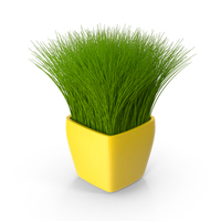 Grass Pot PNG & PSD Images