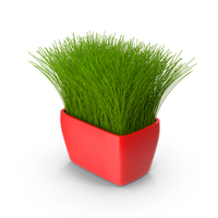 Grass Pot PNG & PSD Images