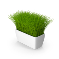 Grass Pot PNG & PSD Images