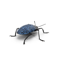 Blue Fungus Beetle PNG & PSD Images