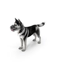 Siberian Husky Black And White With Muzzle PNG & PSD Images