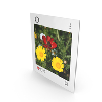 Social Network Photo Frame PNG & PSD Images