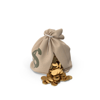 Torn Money Bag PNG & PSD Images