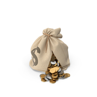 Torn Money Bag PNG & PSD Images
