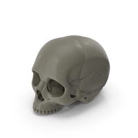 Halloween Skull PNG & PSD Images