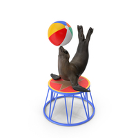 Seal On A Circus Stand PNG & PSD Images