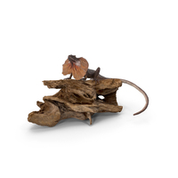 Frilled Lizard on Snag PNG & PSD Images