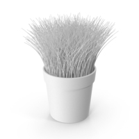 Grass Clay Pot PNG & PSD Images