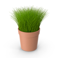 Pot Grass Color PNG & PSD Images