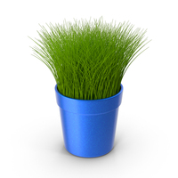 Pot Grass Paint PNG & PSD Images