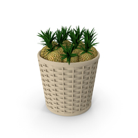 Basket Ananas Market Sale PNG & PSD Images