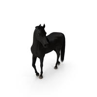 Arabian Horse Black Stand Pose Fur PNG & PSD Images