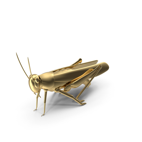 Gold Decorative Grasshopper PNG & PSD Images