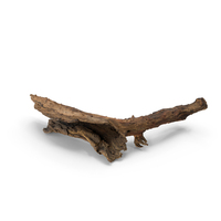 Broken Tree Bark Piece PNG & PSD Images