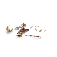 Dinosaurs Broken Skeleton Ground Blood PNG & PSD Images