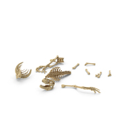 Dinosaurs Broken Skeleton Ground PNG & PSD Images