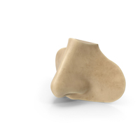 Female Nose Statue PNG & PSD Images